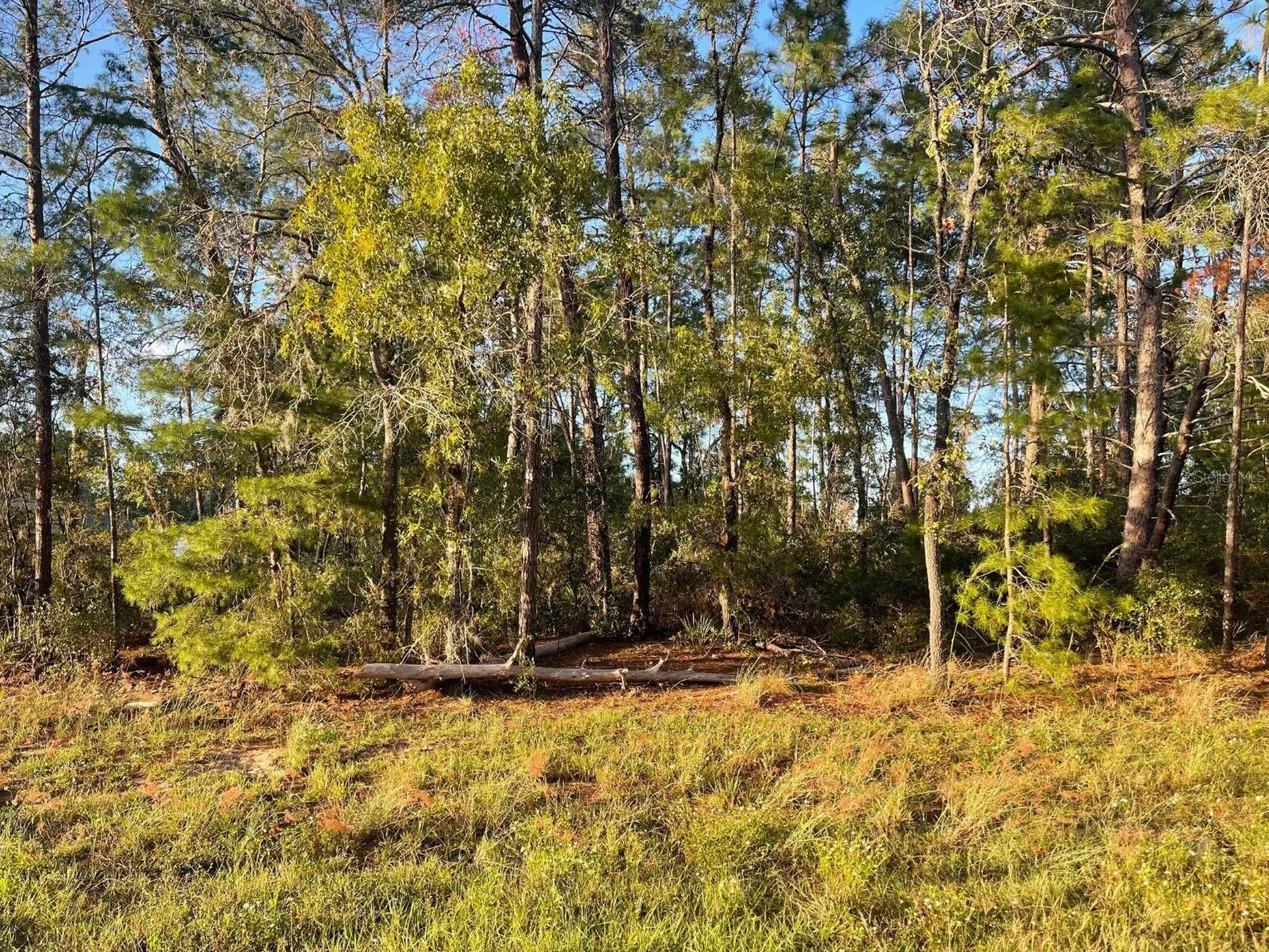 0 SW 157th Street Ocala FL 34473
