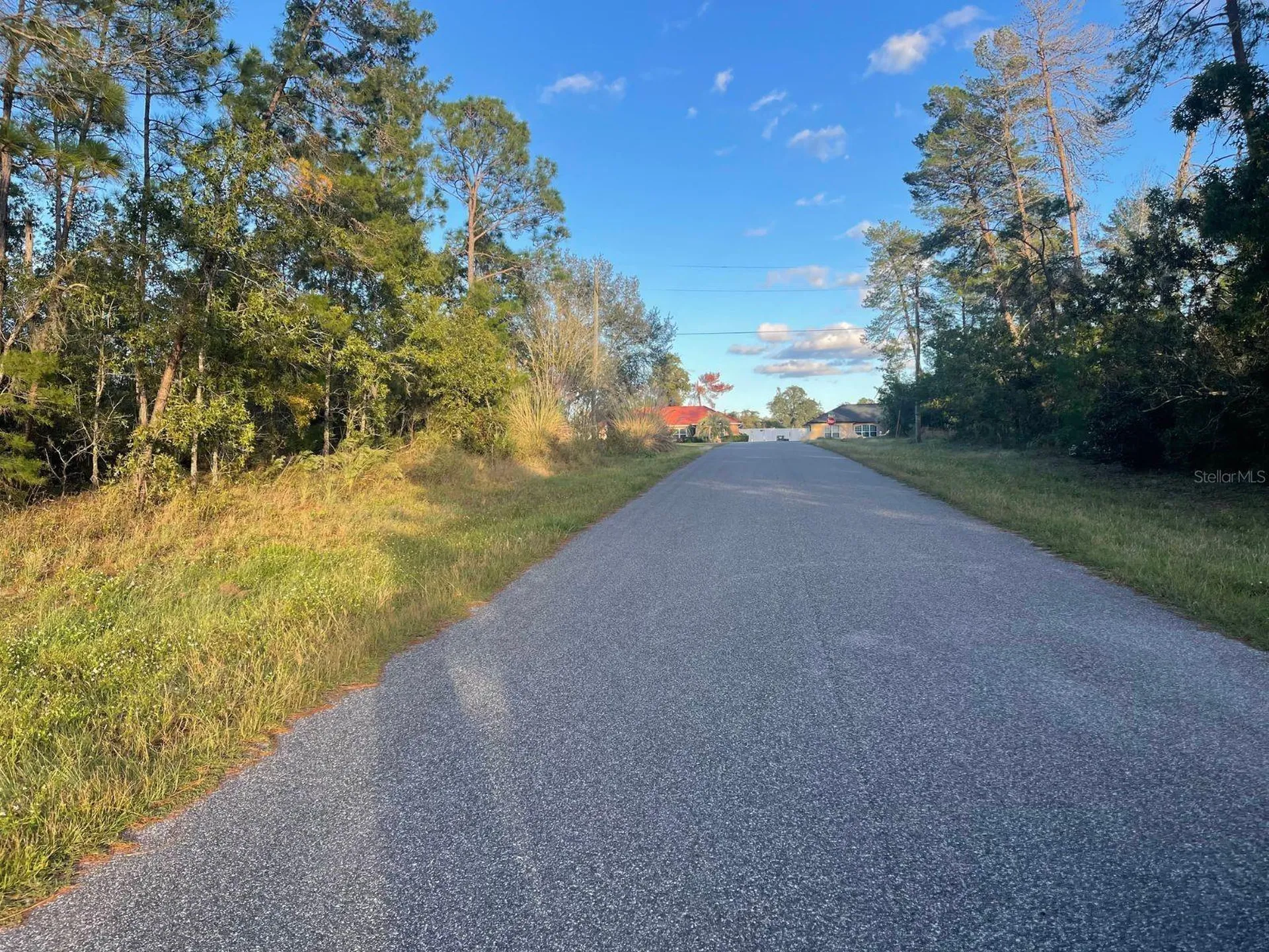 0 SW 157th Street Ocala FL 34473
