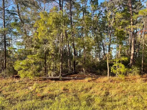 0 SW 157th Street Ocala FL 34473