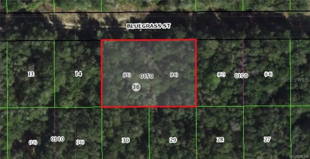 2305 Bluegrass Street Inverness FL 34453