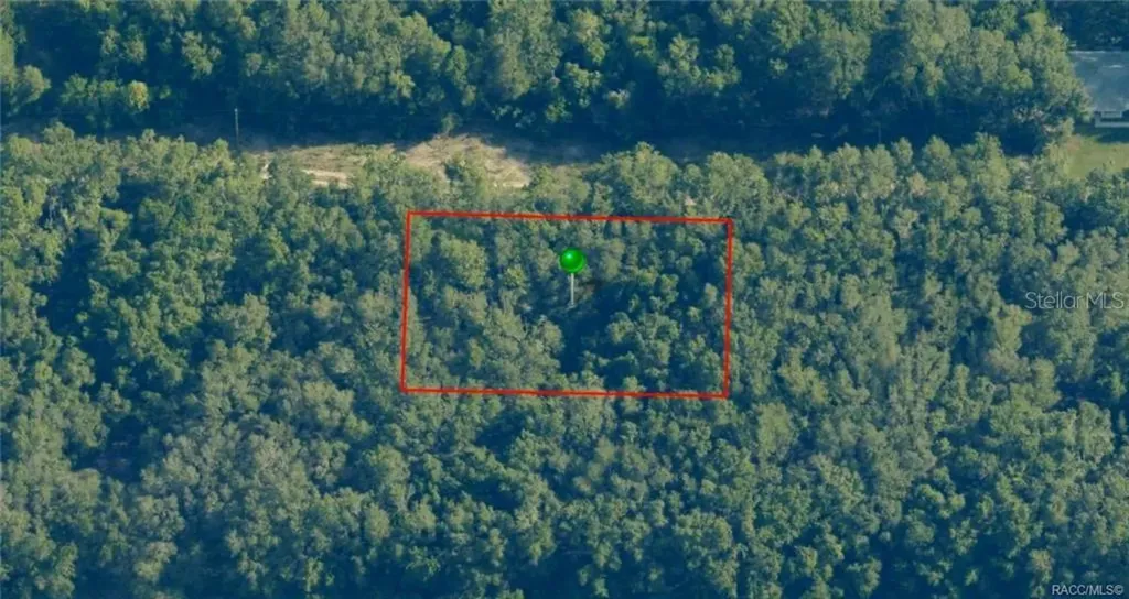 2305 Bluegrass Street Inverness FL 34453