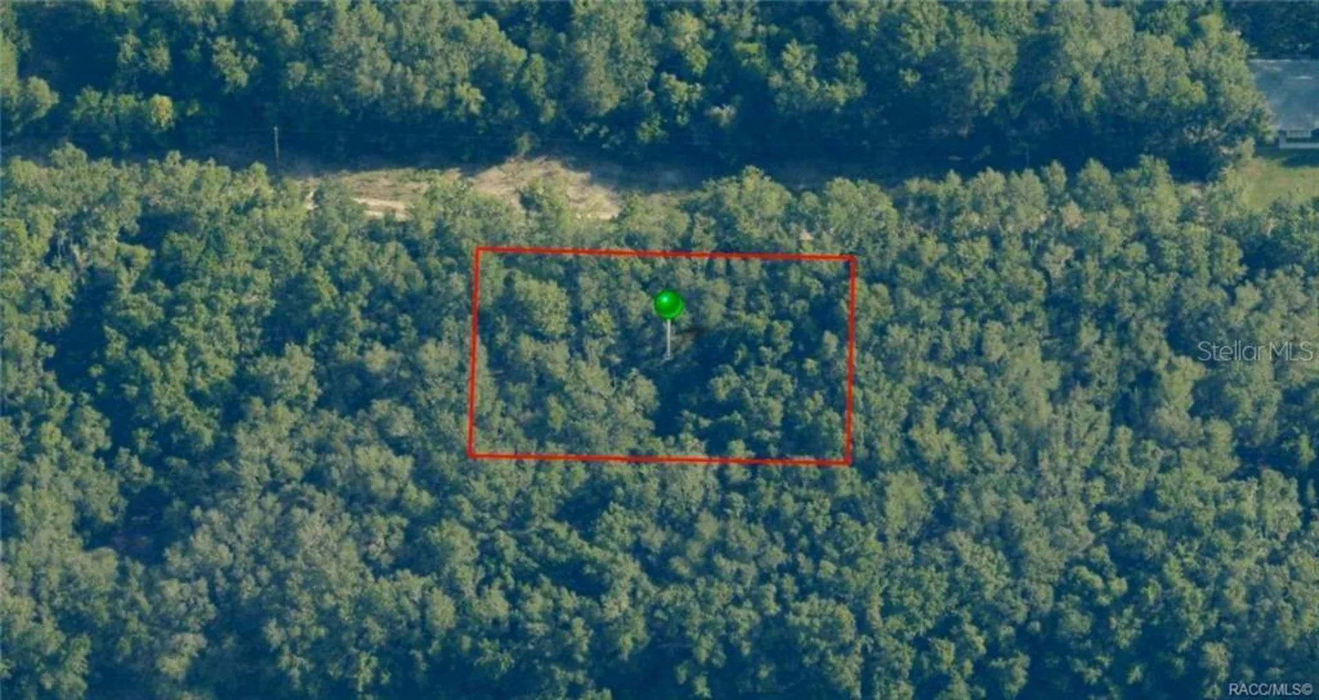 2305 Bluegrass Street Inverness FL 34453
