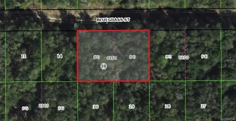 2305 Bluegrass Street Inverness FL 34453