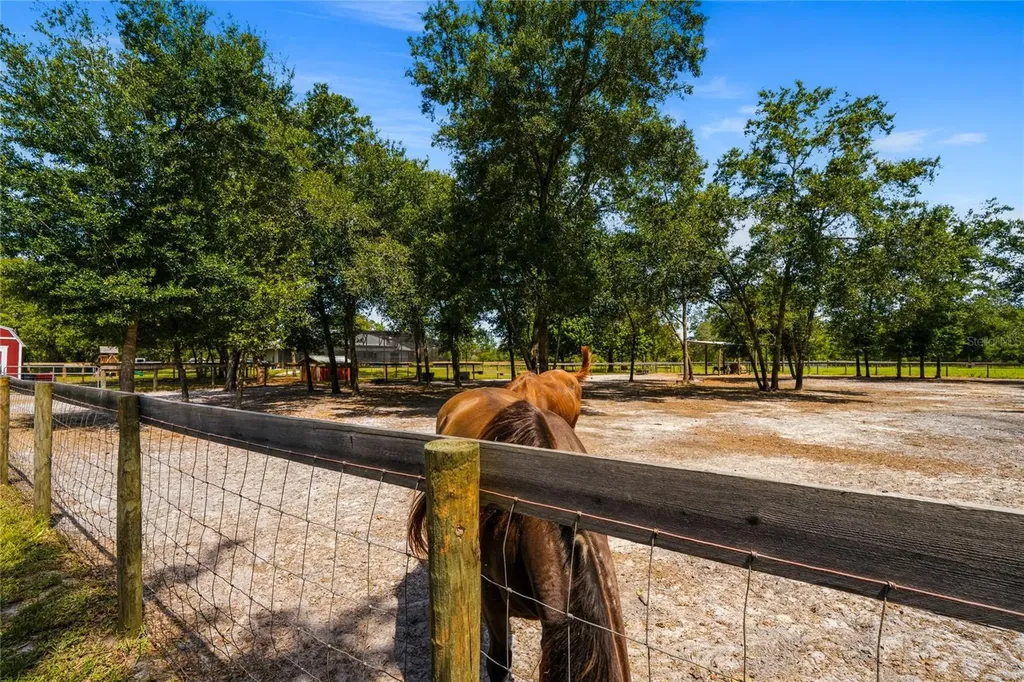 135 Linda Sue Drive Lake Helen FL 32744
