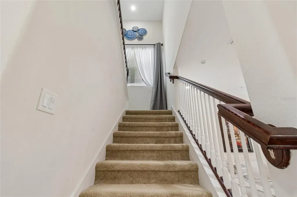 10623 Mistflower Lane Tampa FL 33647