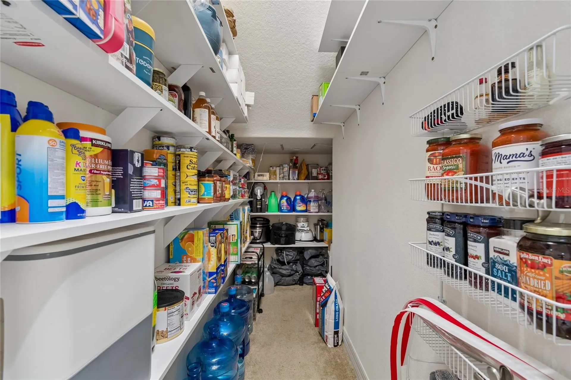 10623 Mistflower Lane Tampa FL 33647