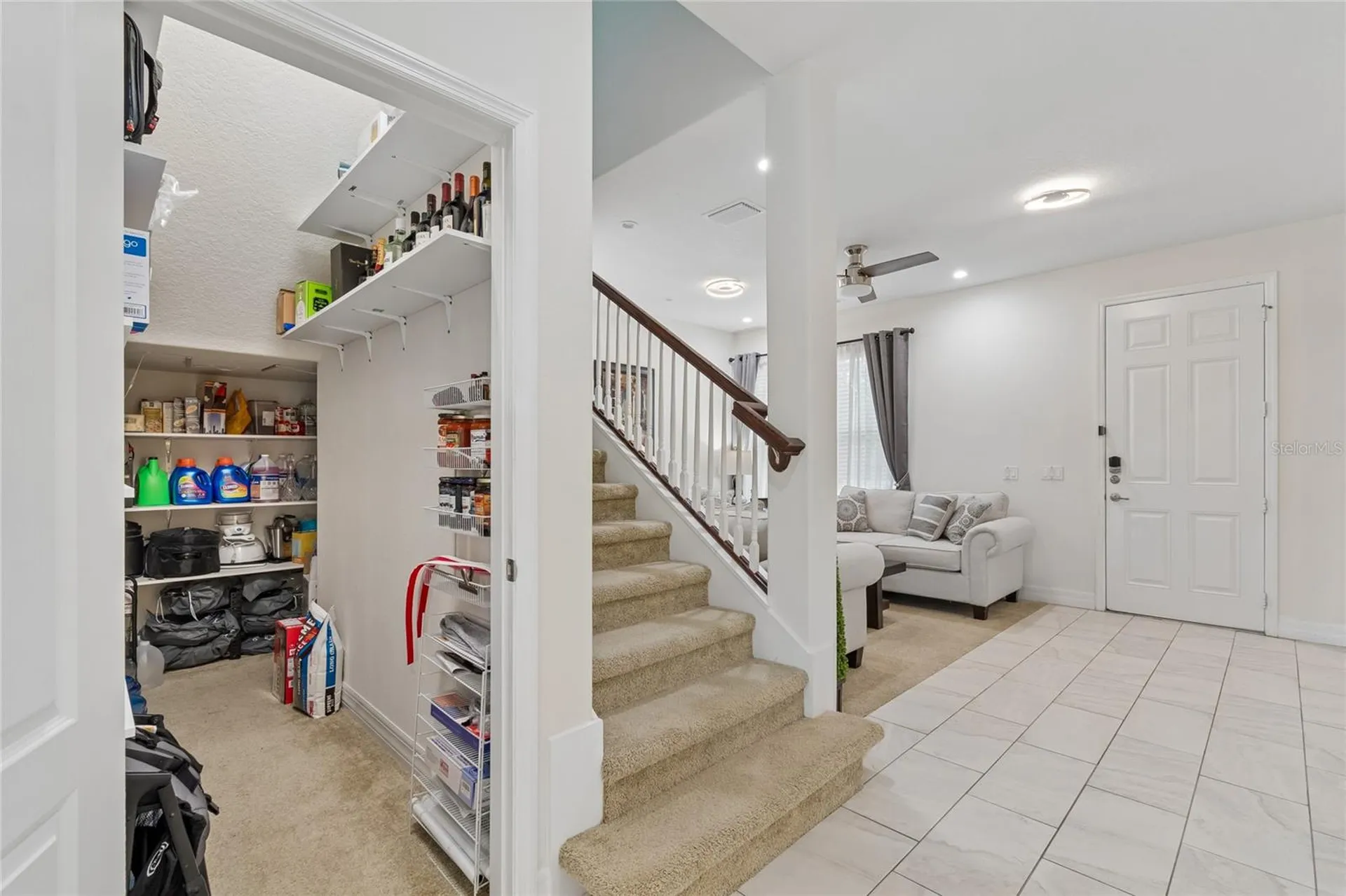 10623 Mistflower Lane Tampa FL 33647