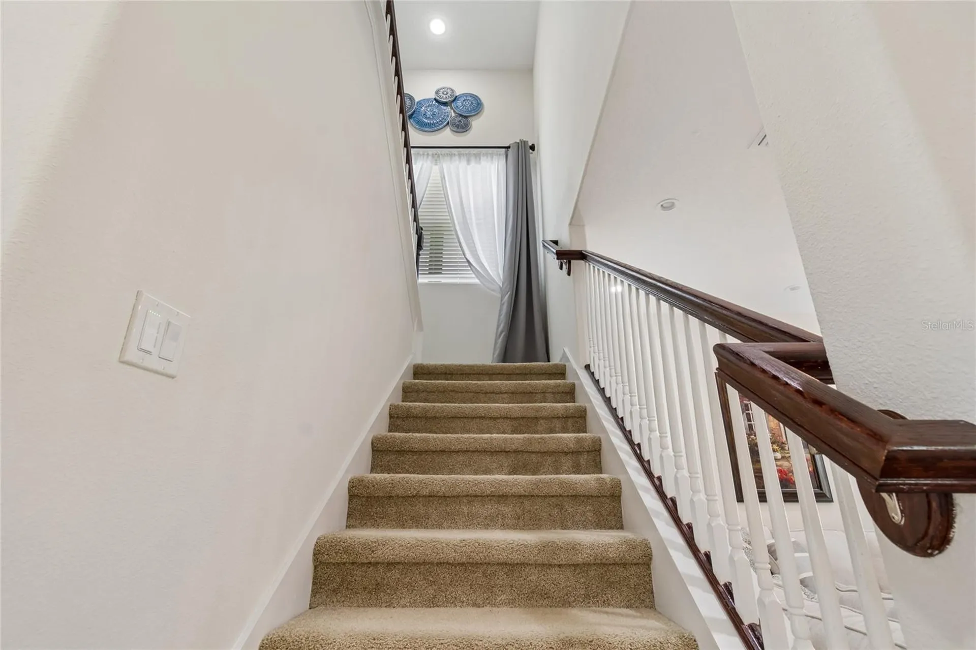 10623 Mistflower Lane Tampa FL 33647
