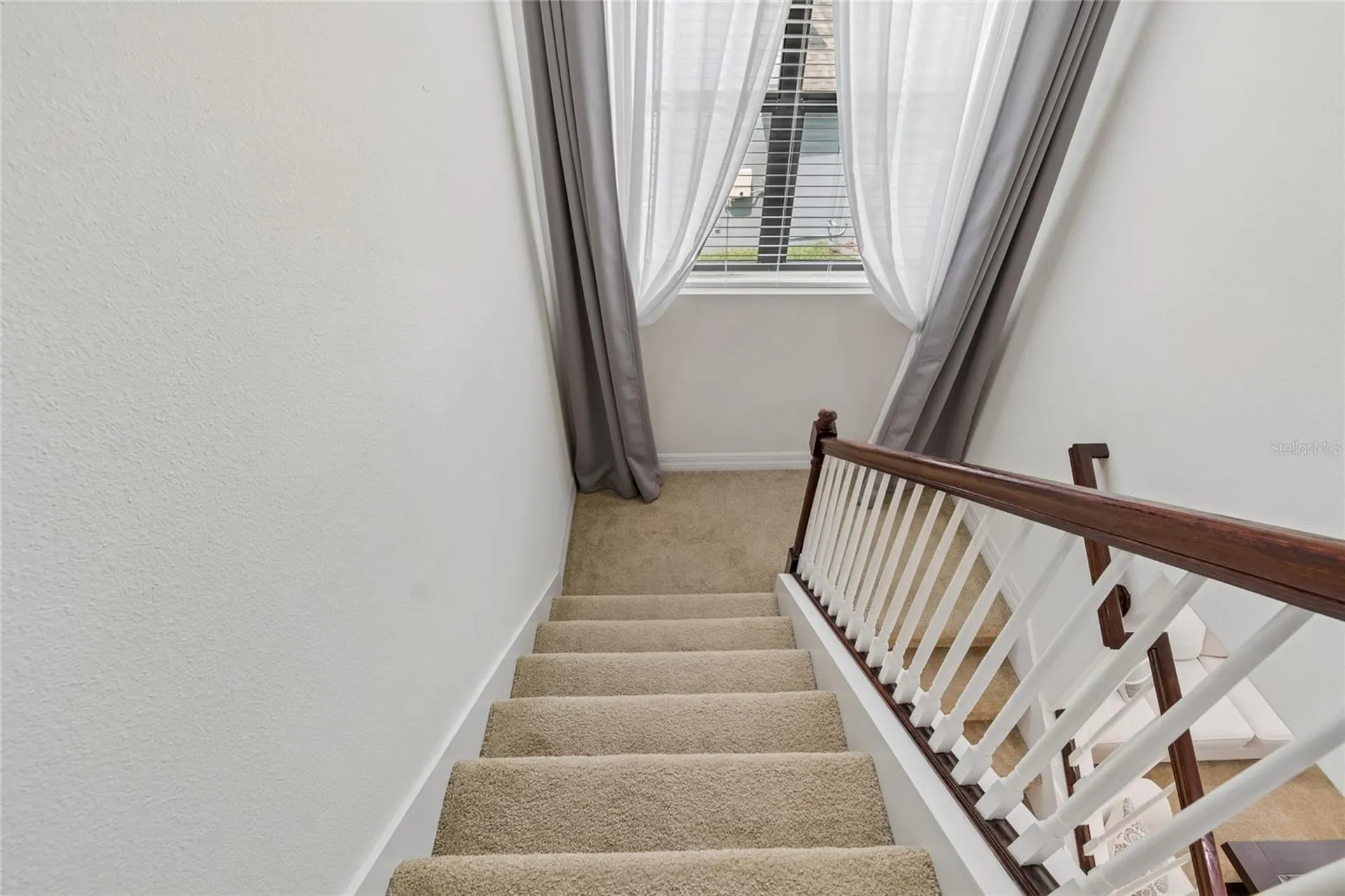 10623 Mistflower Lane Tampa FL 33647