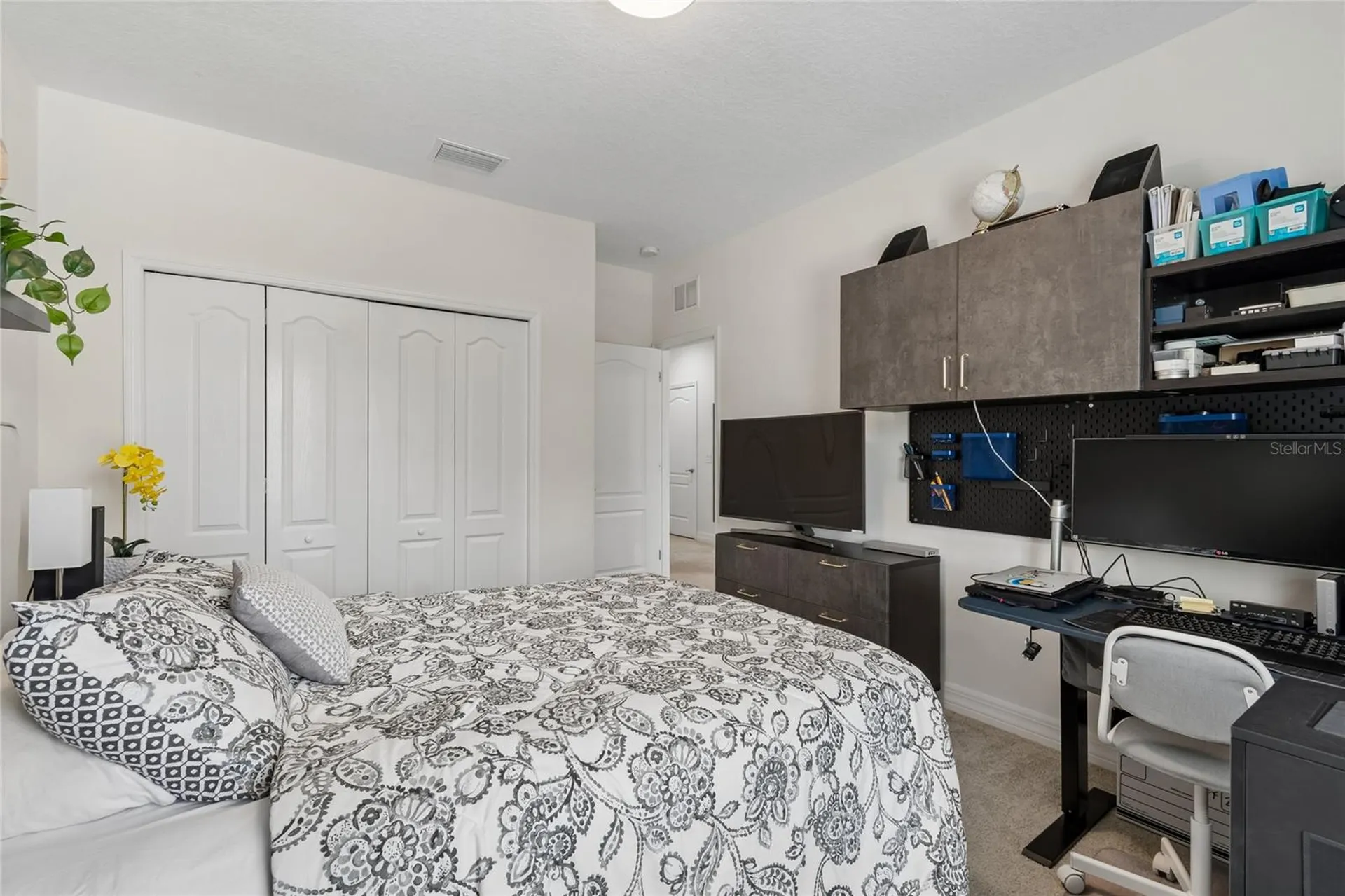 10623 Mistflower Lane Tampa FL 33647