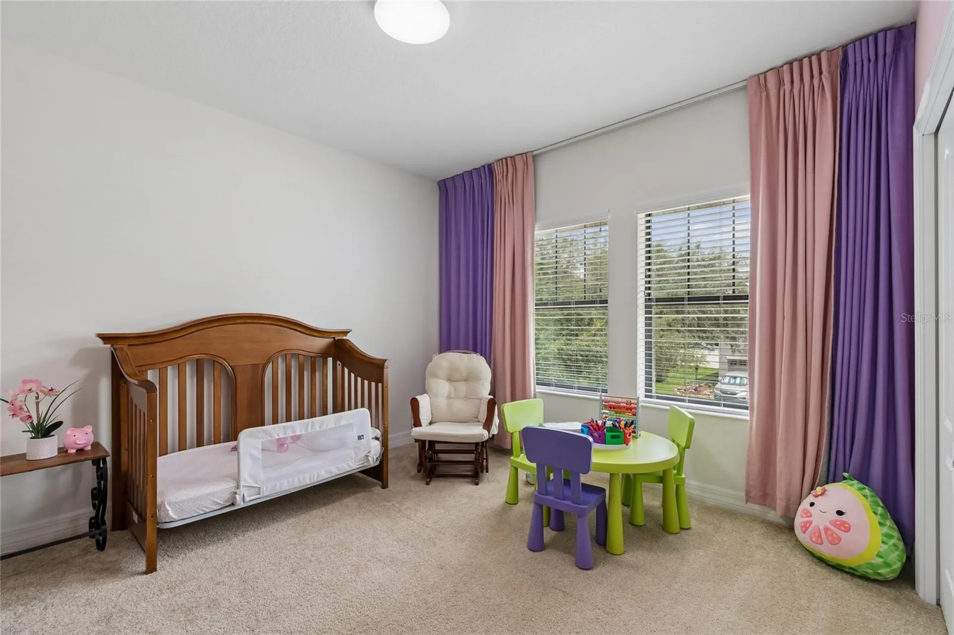 10623 Mistflower Lane Tampa FL 33647