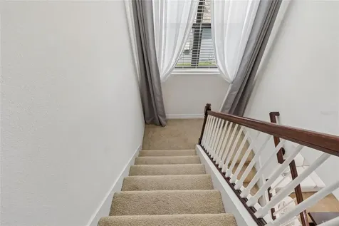 10623 Mistflower Lane Tampa FL 33647