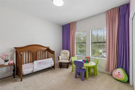 10623 Mistflower Lane Tampa FL 33647