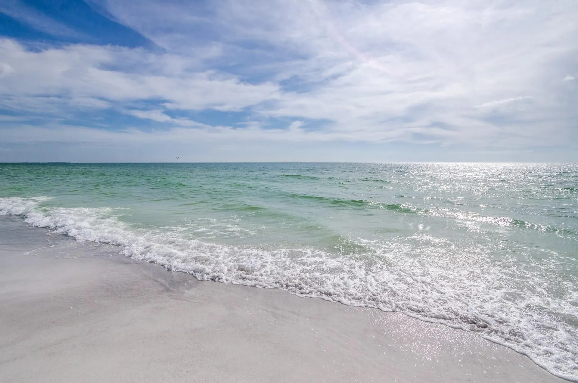 552 Plaza Seville Court Treasure Island FL 33706