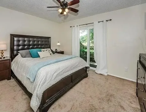 2699 Macklin Court Palm Harbor FL 34684