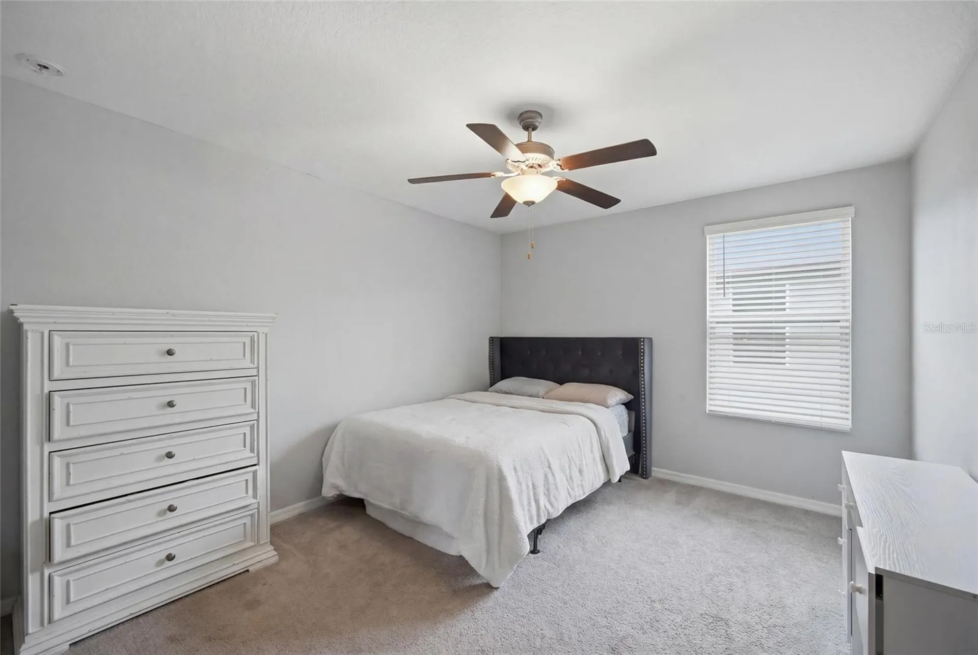 8928 Flourish Drive Land O Lakes FL 34637