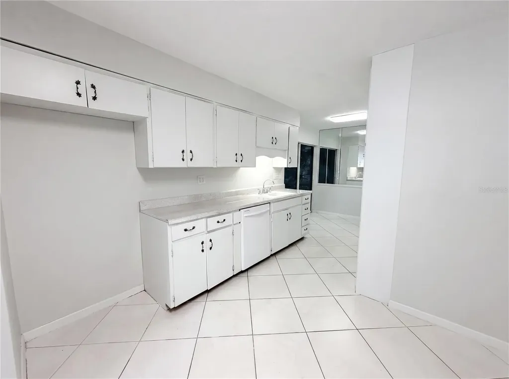 1431 Coburn Drive Tarpon Springs FL 34689