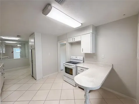 1431 Coburn Drive Tarpon Springs FL 34689