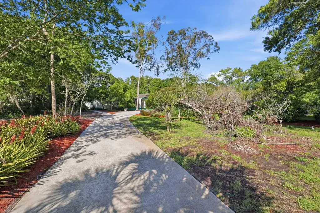 9116 Lakeview Drive New Port Richey FL 34654