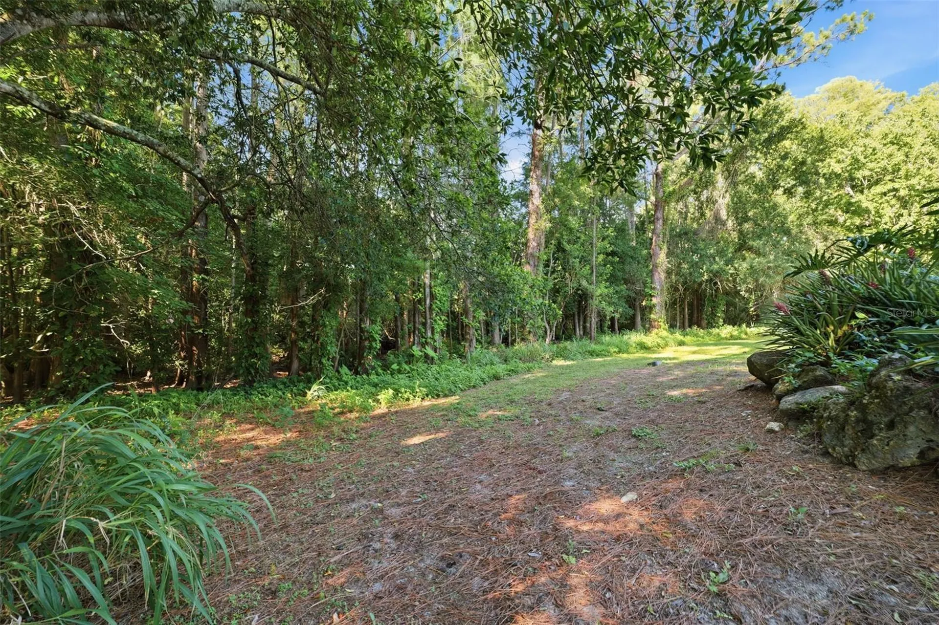 9116 Lakeview Drive New Port Richey FL 34654