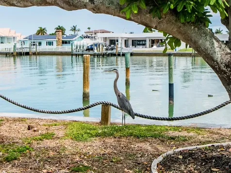 720 115th Avenue Treasure Island FL 33706