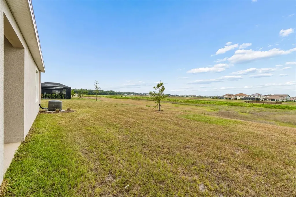 10959 Cotton Vale Place San Antonio FL 33576