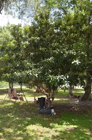 4450 Jody Avenue North Port FL 34288