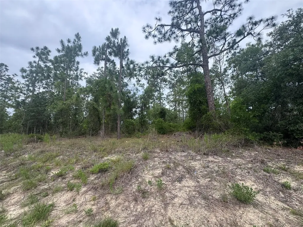 0 SW Egdewater Boulevard Dunnellon FL 34431