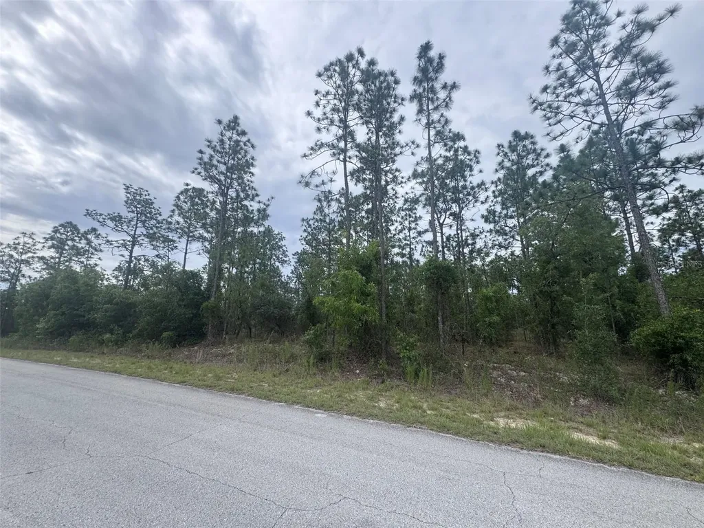 0 SW Egdewater Boulevard Dunnellon FL 34431