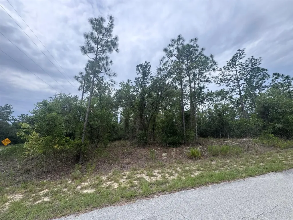 0 SW Egdewater Boulevard Dunnellon FL 34431