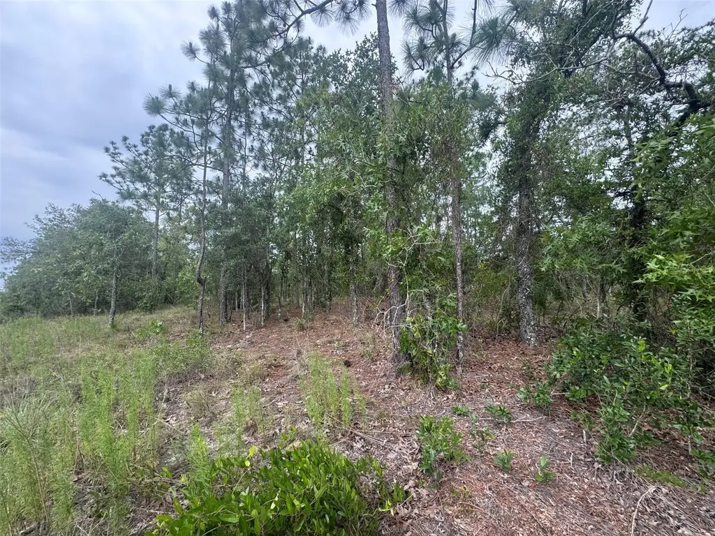 0 SW Egdewater Boulevard Dunnellon FL 34431