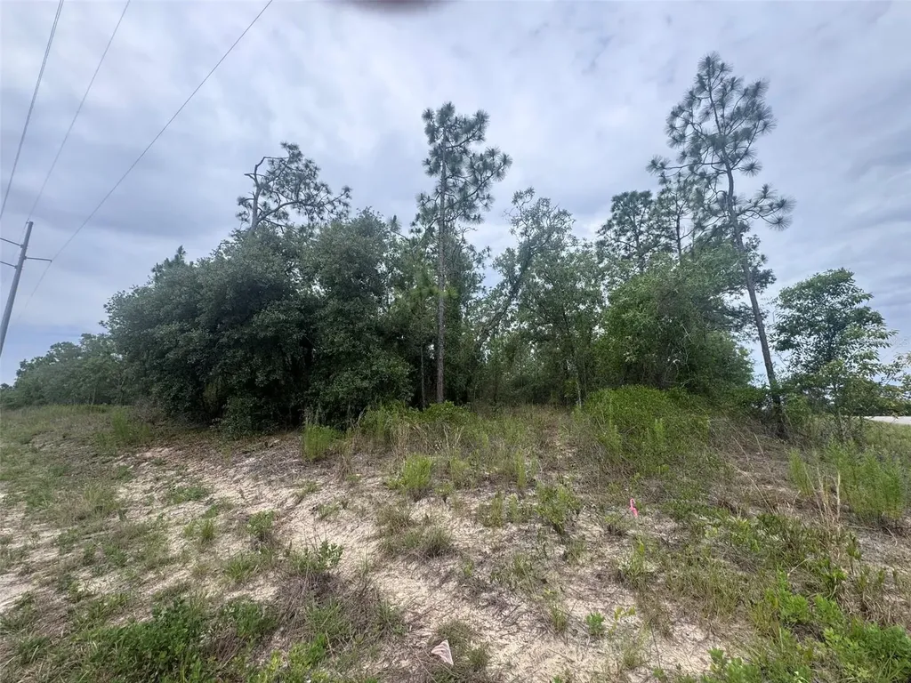0 SW Egdewater Boulevard Dunnellon FL 34431