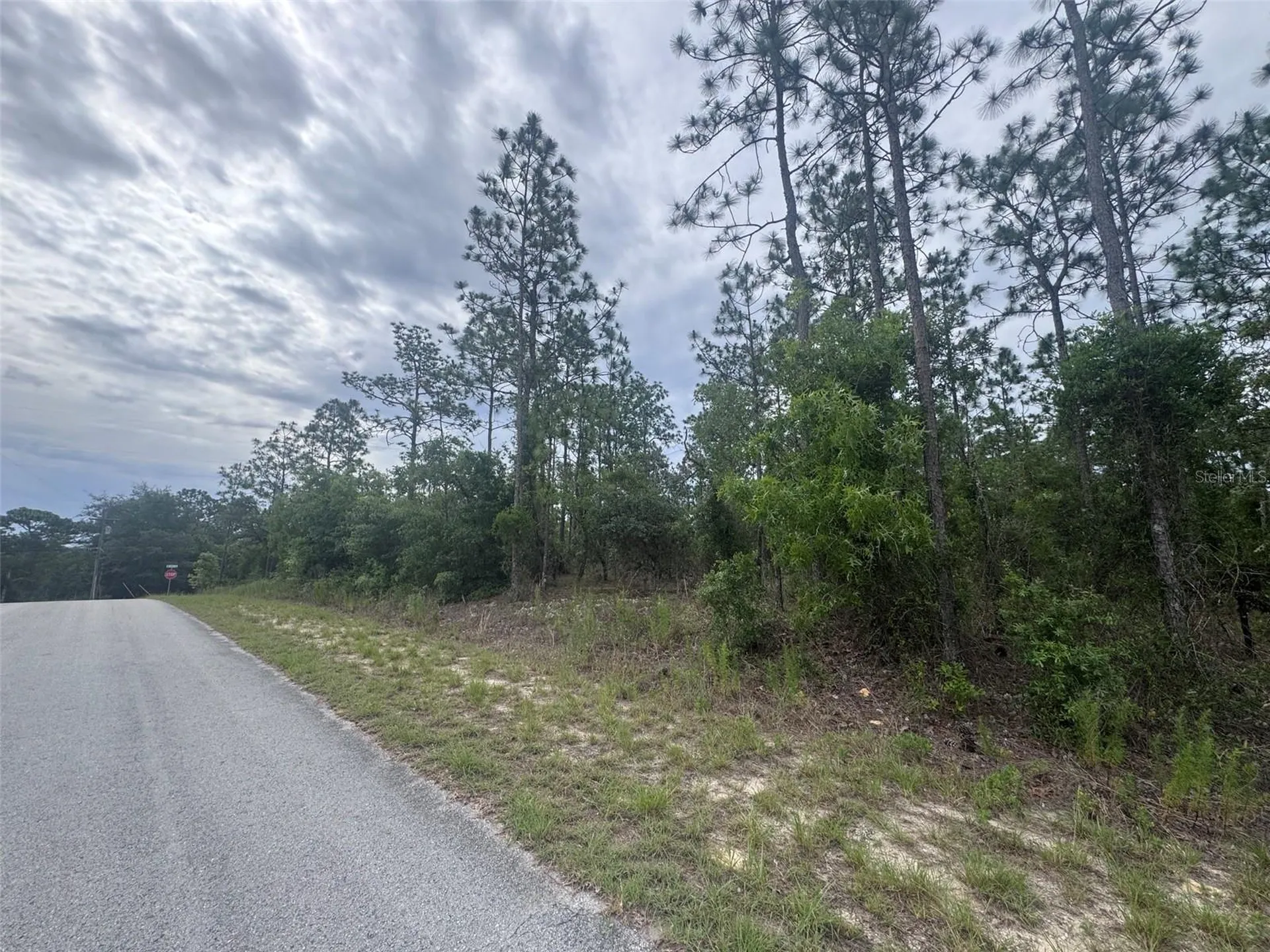0 SW Egdewater Boulevard Dunnellon FL 34431