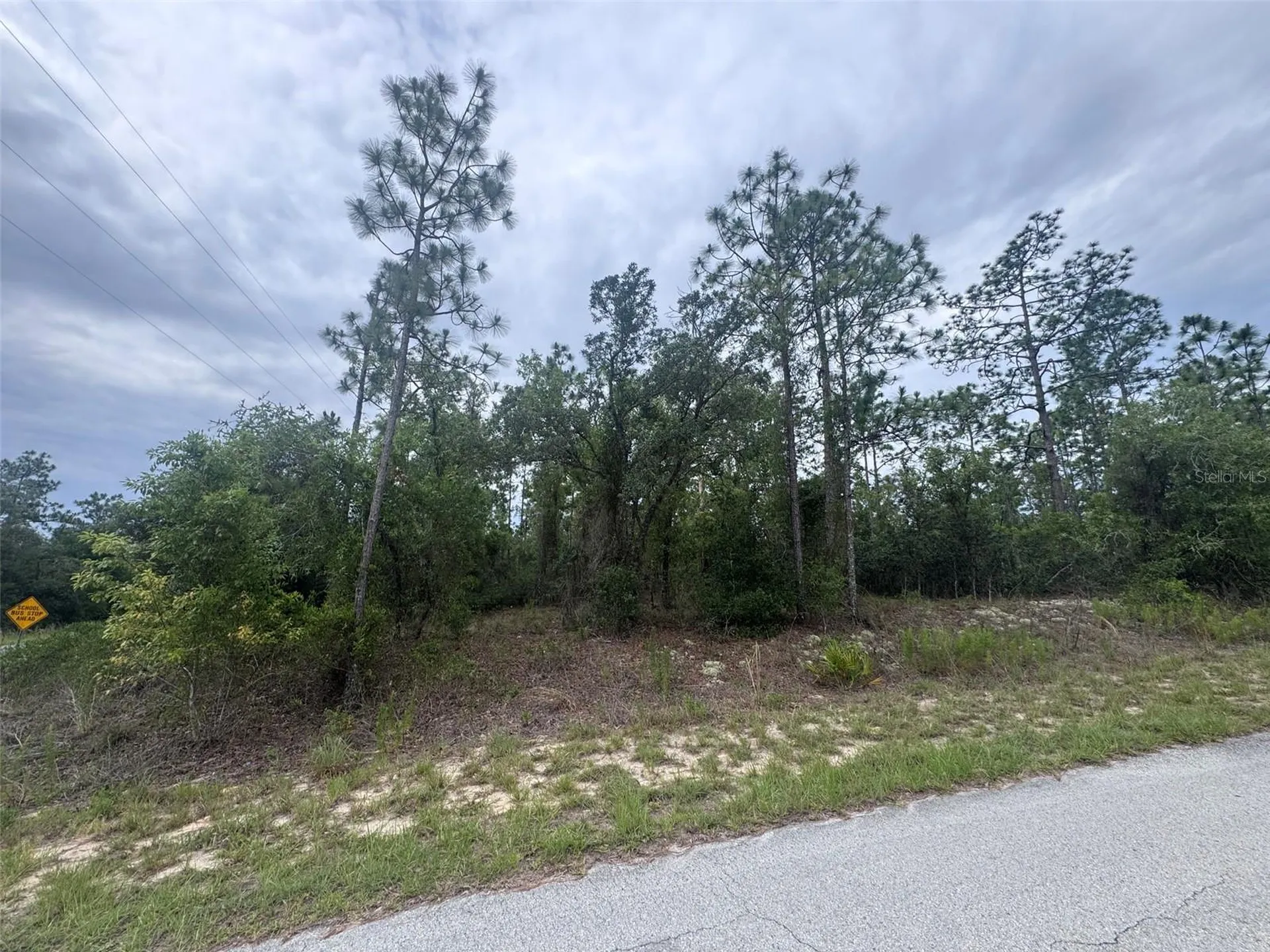 0 SW Egdewater Boulevard Dunnellon FL 34431