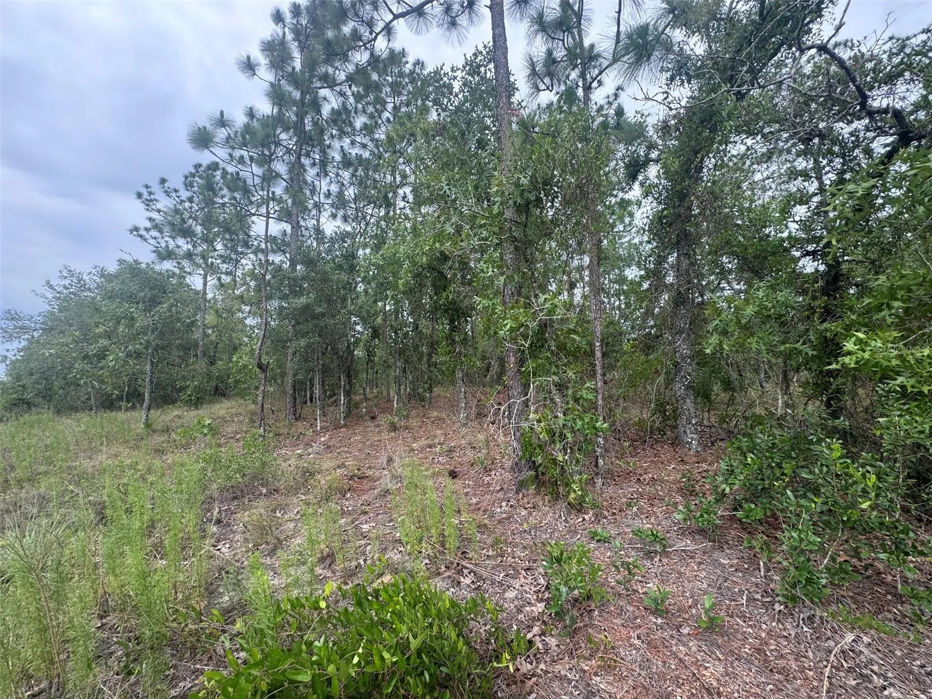 0 SW Egdewater Boulevard Dunnellon FL 34431