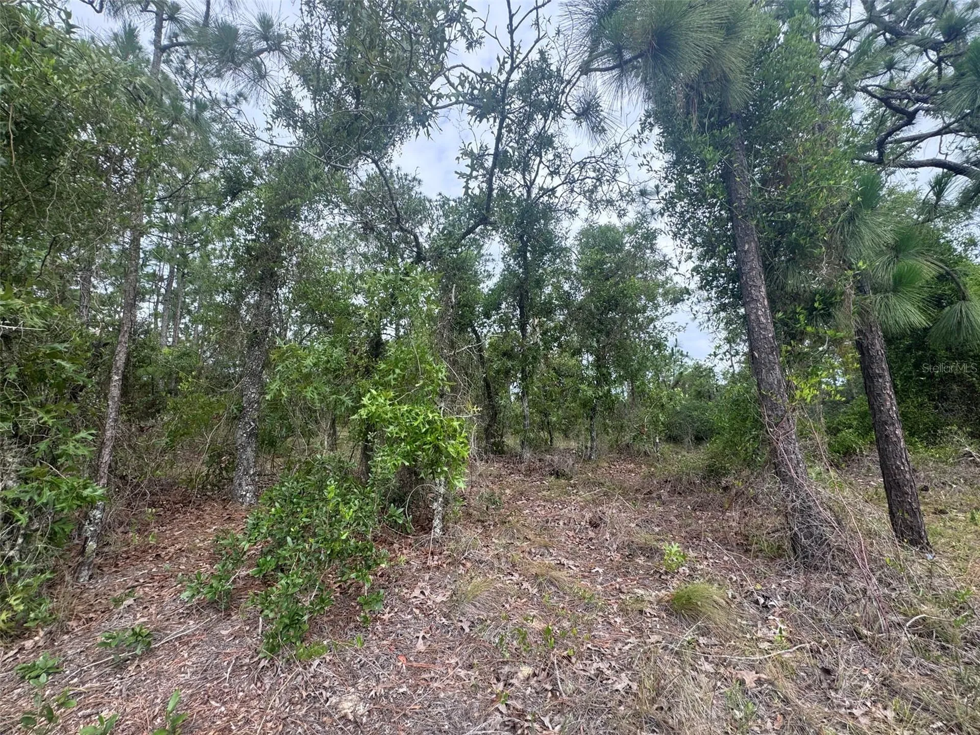 0 SW Egdewater Boulevard Dunnellon FL 34431