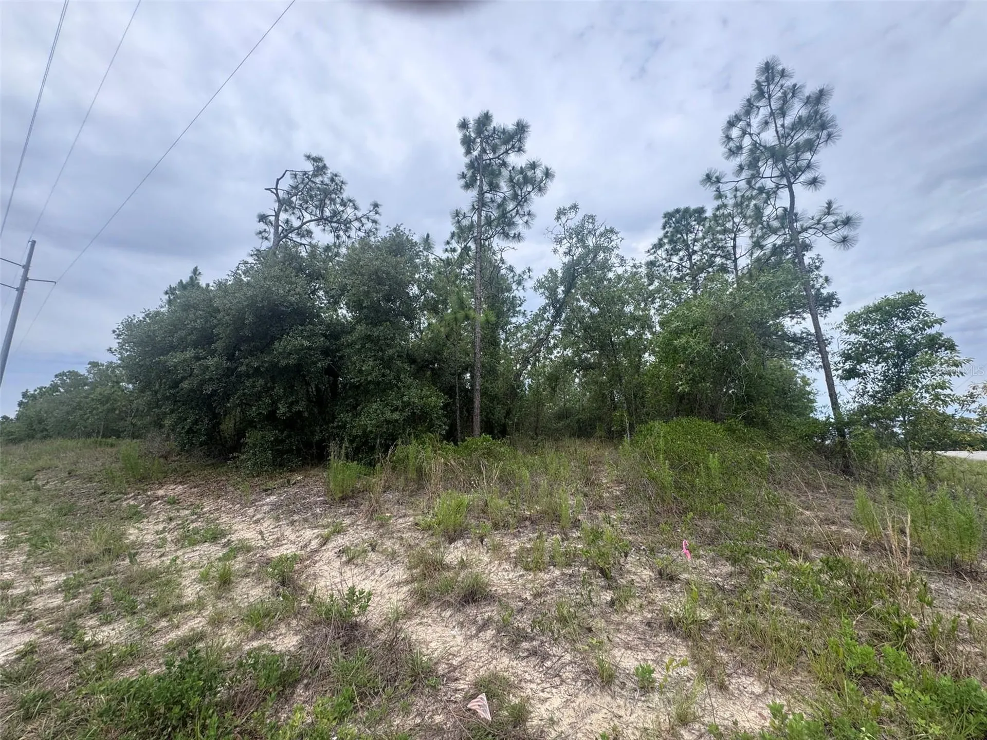 0 SW Egdewater Boulevard Dunnellon FL 34431