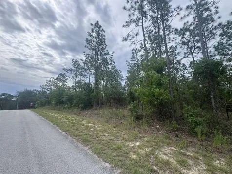 0 SW Egdewater Boulevard Dunnellon FL 34431