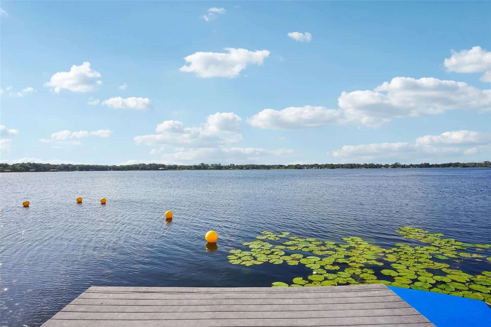 2936 Lake Joanna Drive Eustis FL 32726