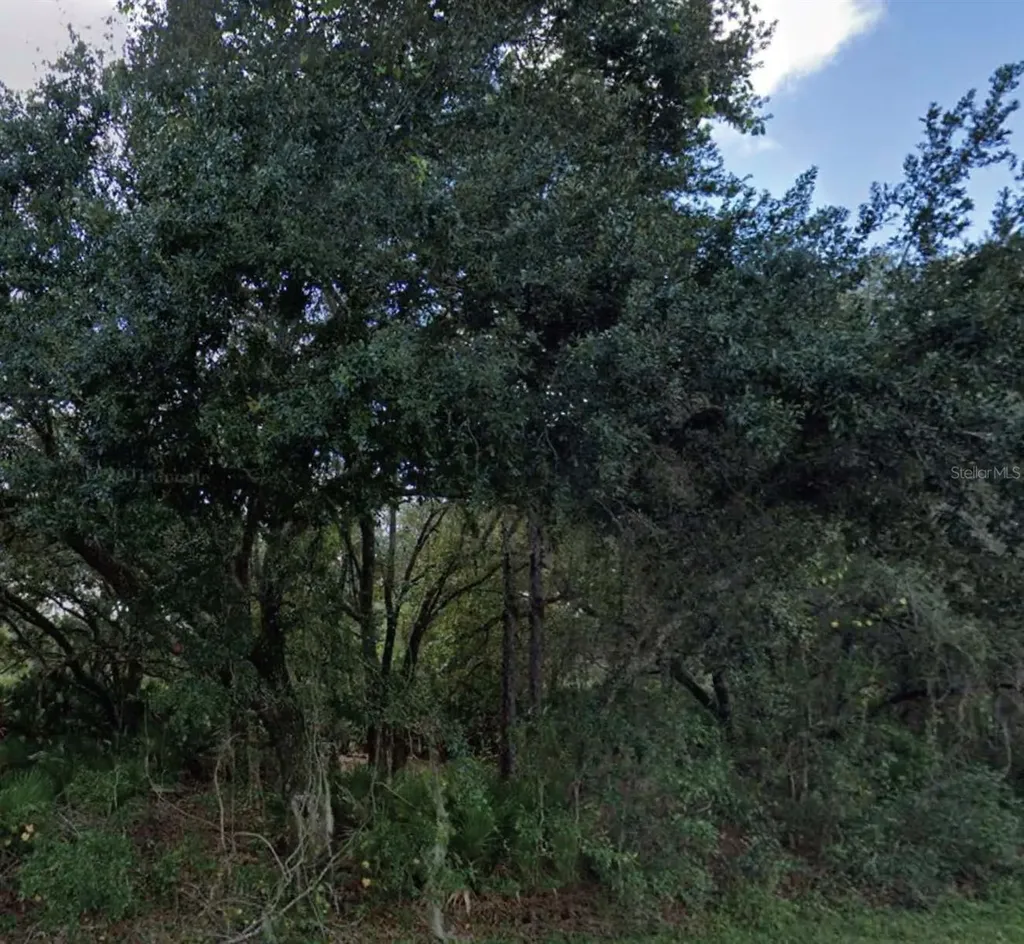 Granada Drive Indian Lake Estates FL 33855