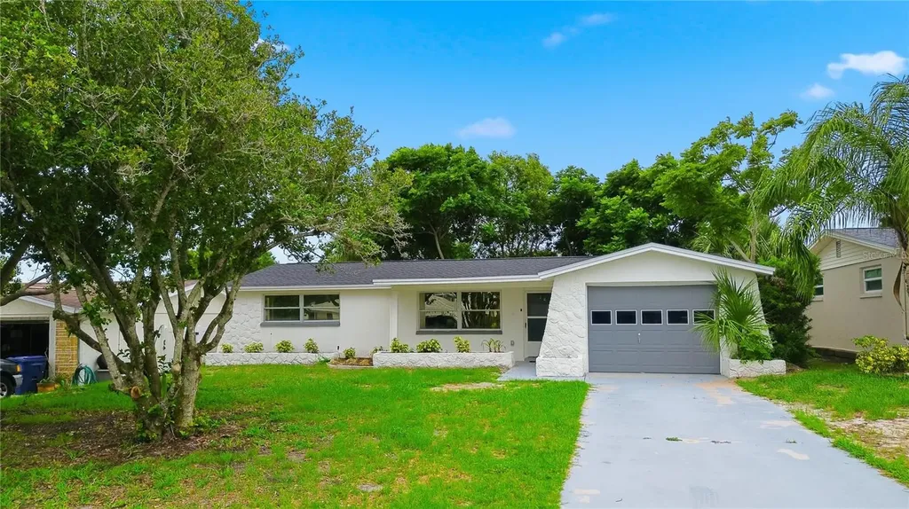 5165 Greenwood Street New Port Richey FL 34653