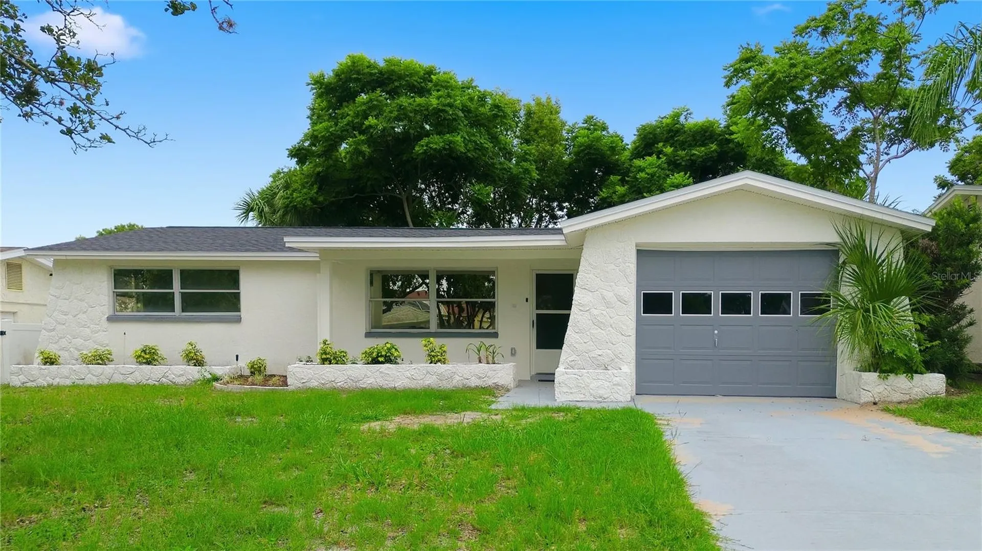 5165 Greenwood Street New Port Richey FL 34653