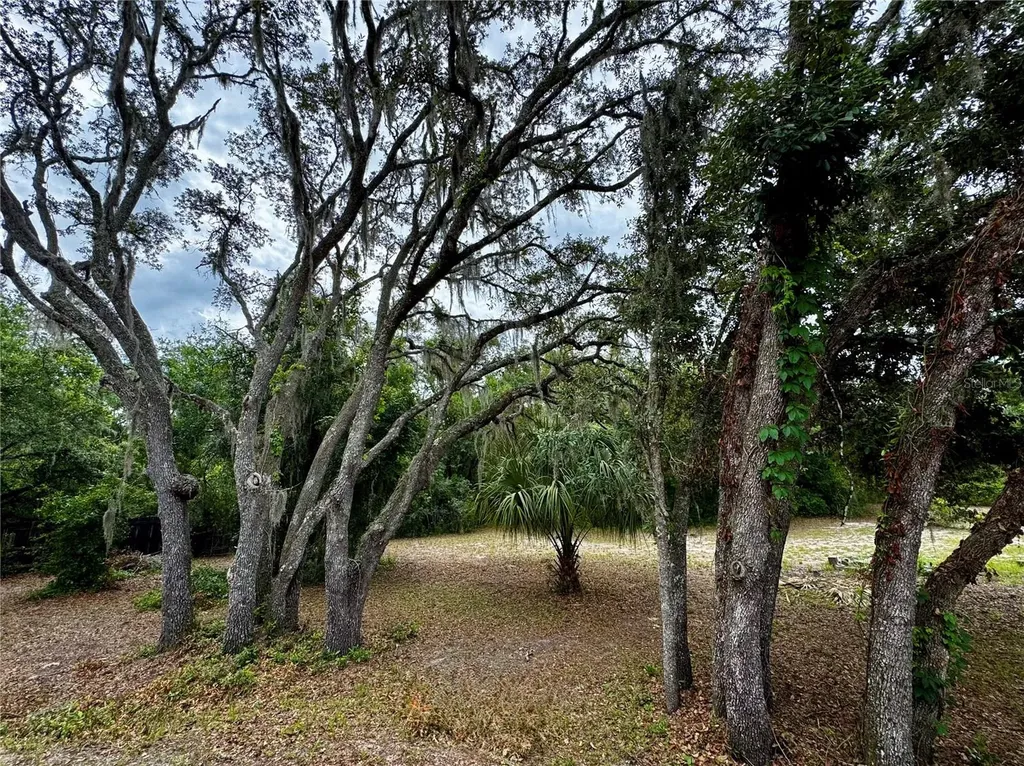 34336 Arbor Street Dade City FL 33523