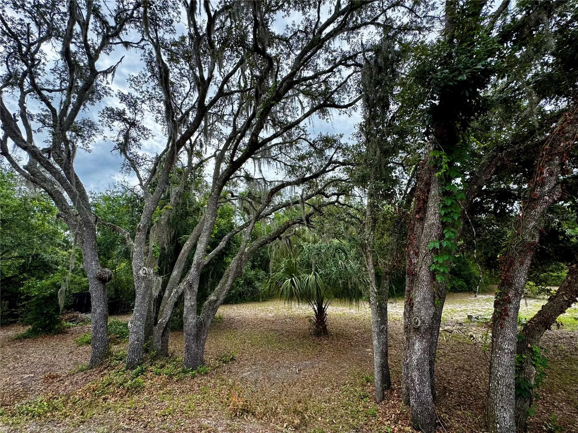 34336 Arbor Street Dade City FL 33523