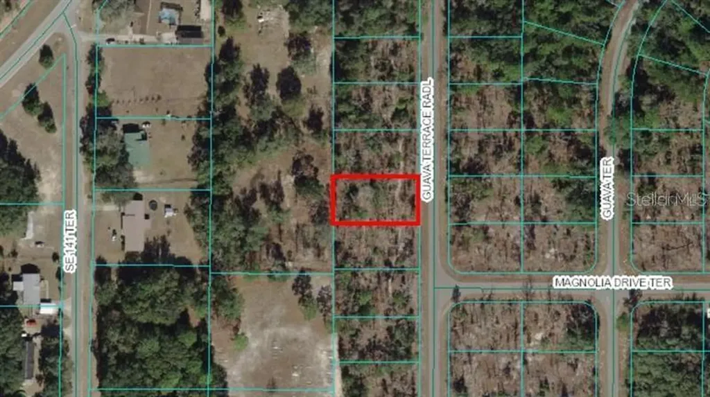 0 Guava Terrace Radial Ocklawaha FL 32179