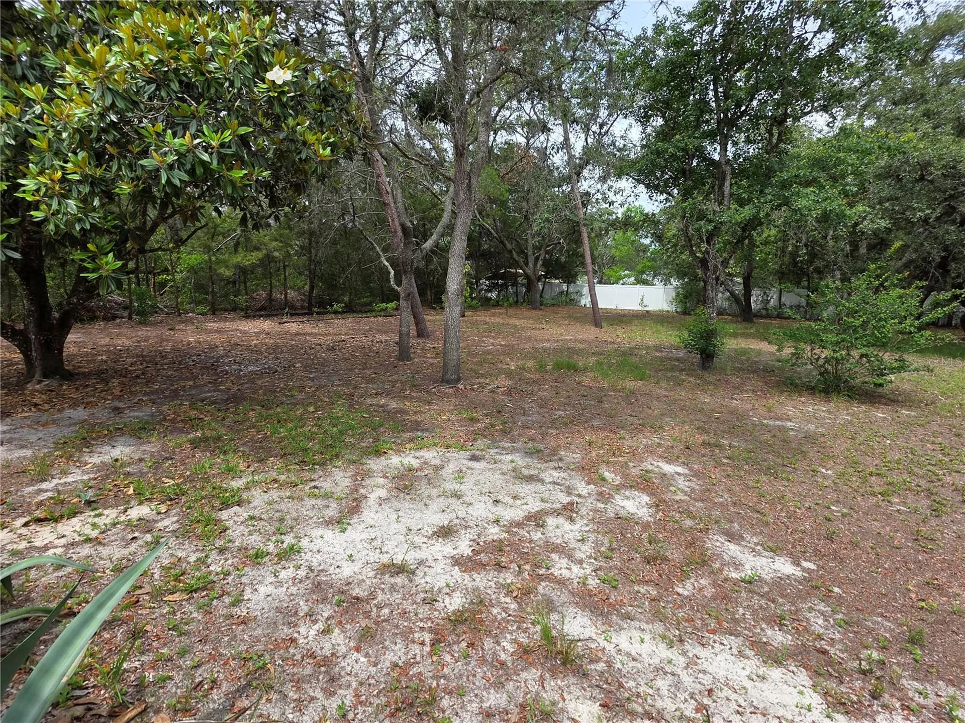 17839 Monteverde Drive Spring Hill FL 34610