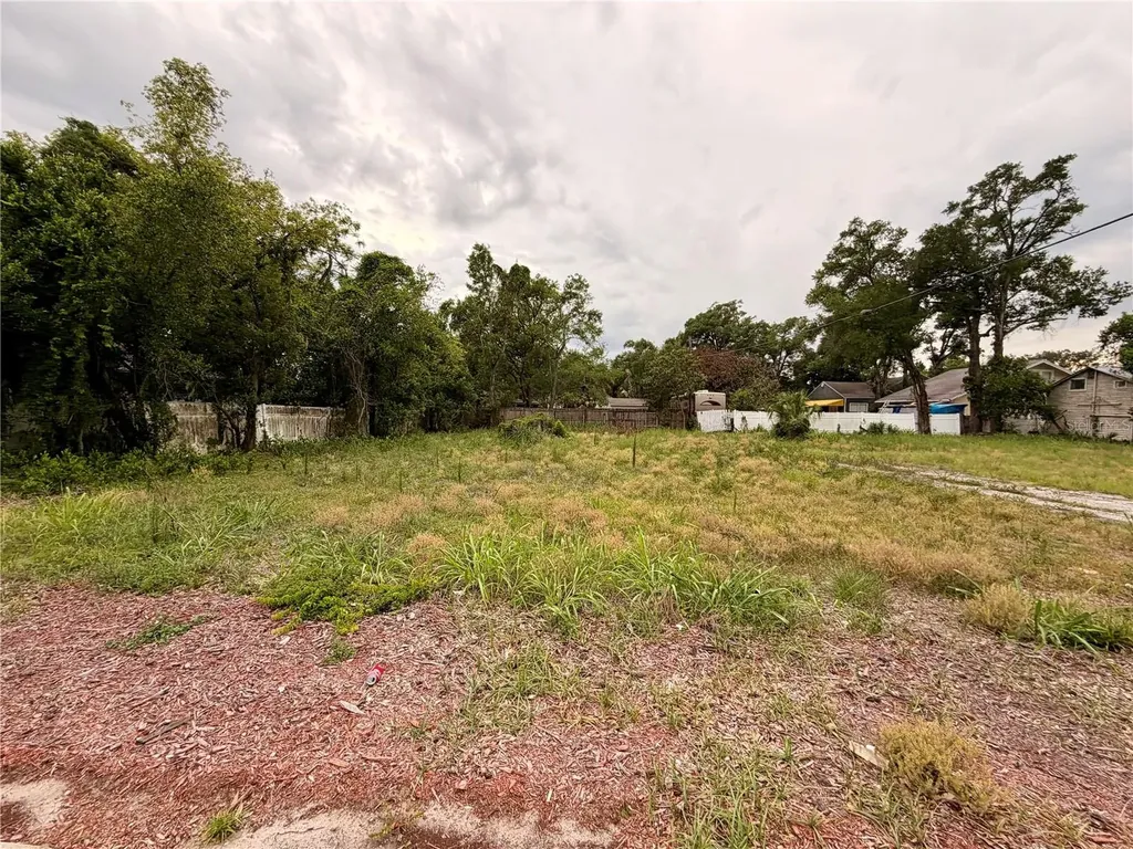 3206 N Tampa Street Tampa FL 33603
