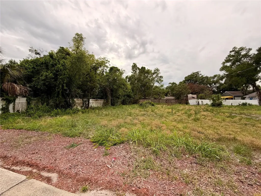 3206 N Tampa Street Tampa FL 33603