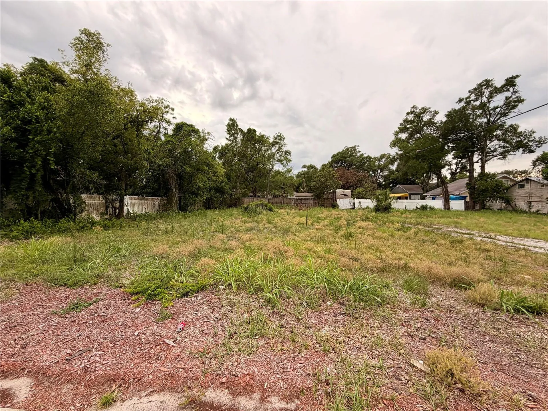 3206 N Tampa Street Tampa FL 33603
