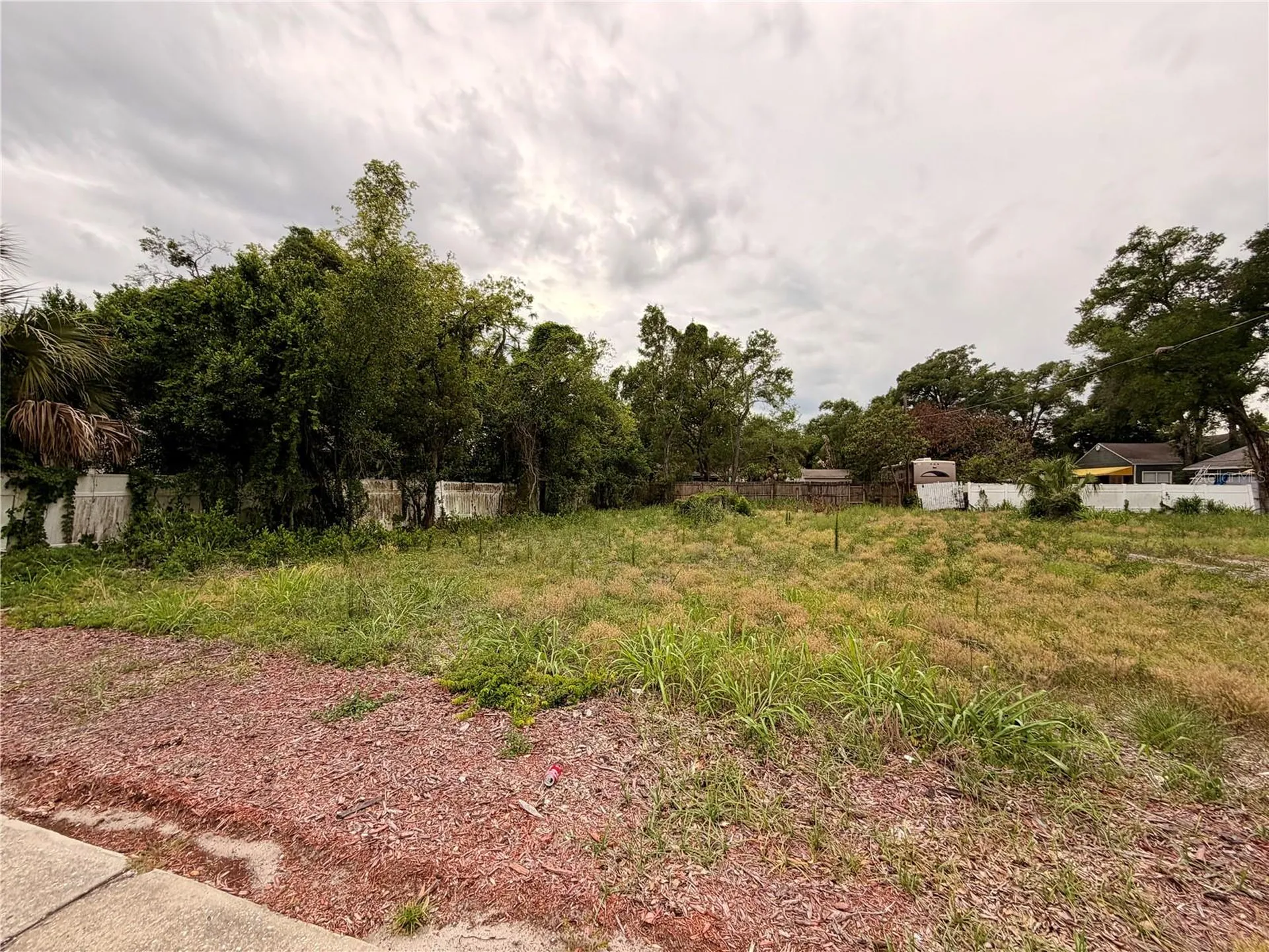 3206 N Tampa Street Tampa FL 33603